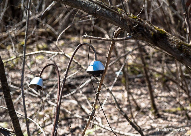 Чернобыль – город, где не будет детей