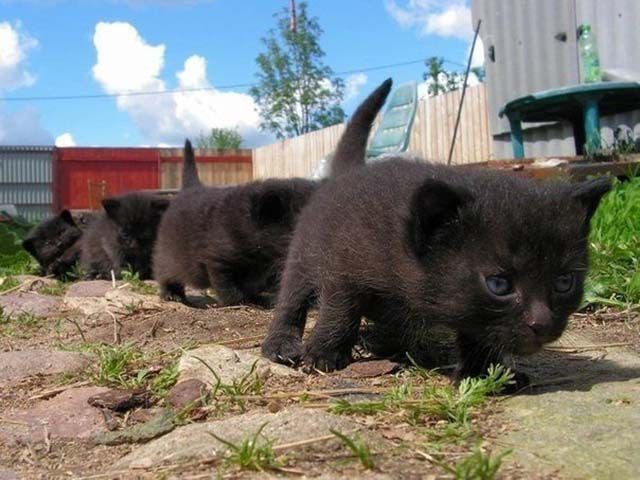 Больше, чем просто фото