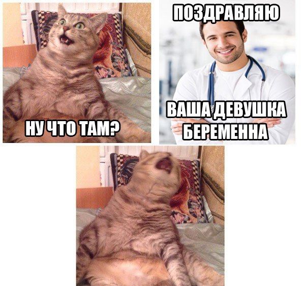 Порция картинок