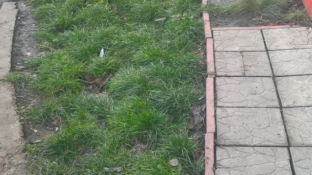 Работа интернет-провайдера в боевых условиях