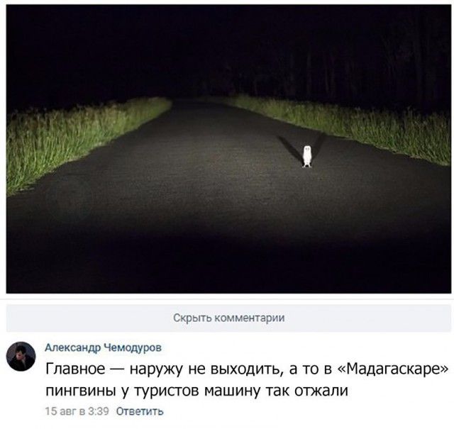 Забавные комментарии из социальныйх сетей