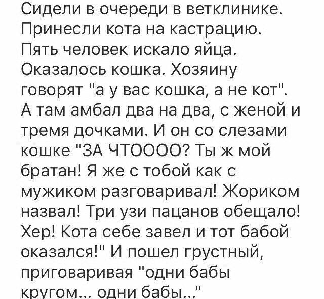 Забавные комментарии из социальныйх сетей