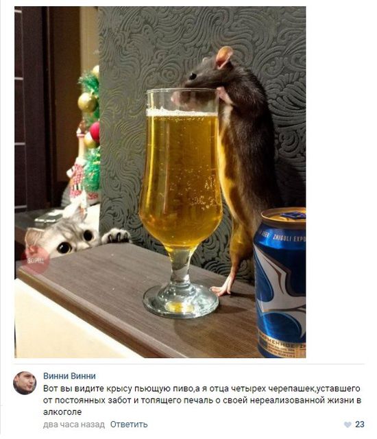 Забавные комментарии из социальныйх сетей