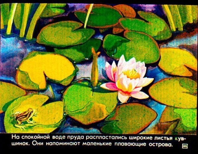 Детский диафильм «Прогулка в город будущего», 1976 год