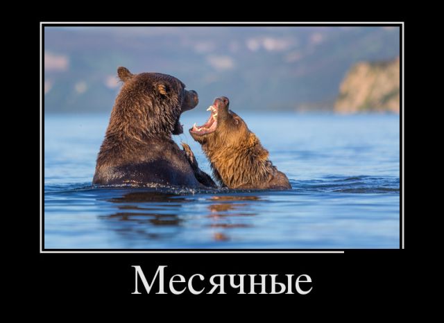 Демотиваторы