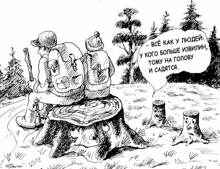 Дикий туристический юмор