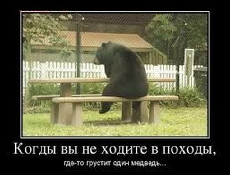 Дикий туристический юмор
