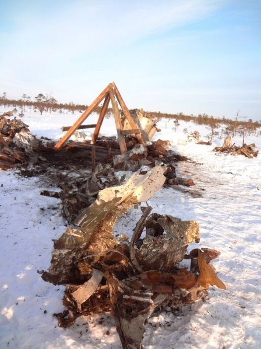 В болотах Новгородской области обнаружили останки двух членов экипажа советского бомбардировщика ДБ-3