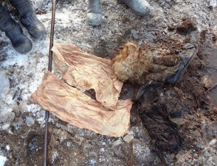 В болотах Новгородской области обнаружили останки двух членов экипажа советского бомбардировщика ДБ-3