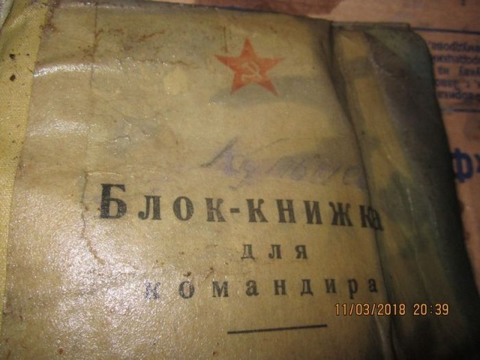 В болотах Новгородской области обнаружили останки двух членов экипажа советского бомбардировщика ДБ-3