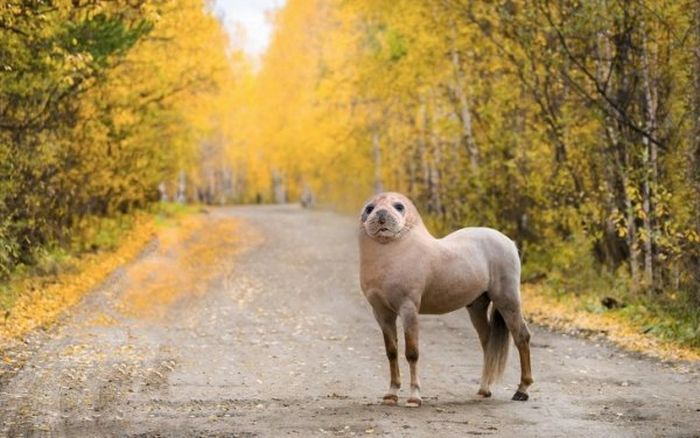 Немыслимые изображения, созданные в фотошопе