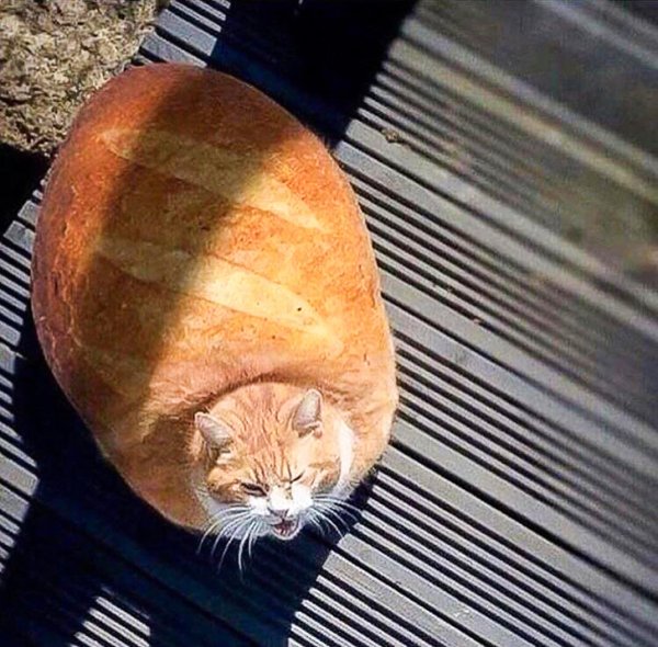 Немыслимые изображения, созданные в фотошопе