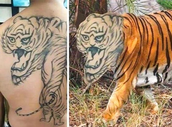 Немыслимые изображения, созданные в фотошопе
