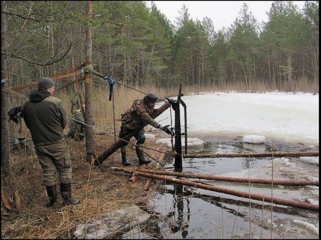 Эстонские поисковики обнаружили прекрасно сохранившуюся полковую пушку образца 1927 года