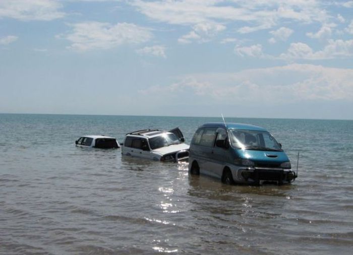 Прикольные картинки