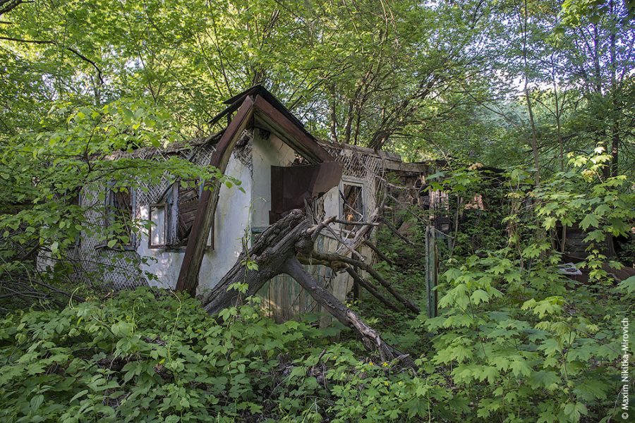 Квартиры Чернобыля (36 фото)