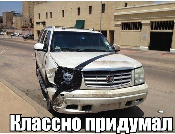 Прикольные картинки (73 фото)