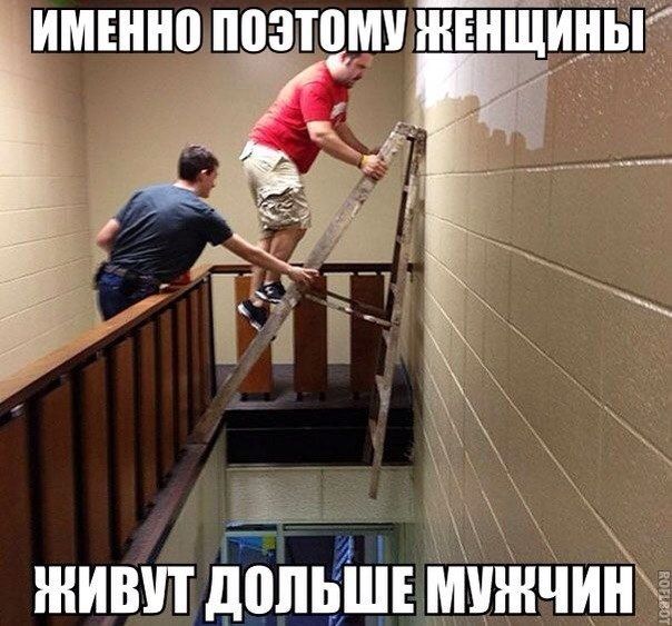 Прикольные картинки (73 фото)