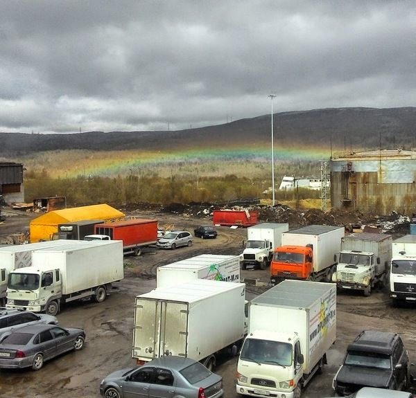 Порция картинок