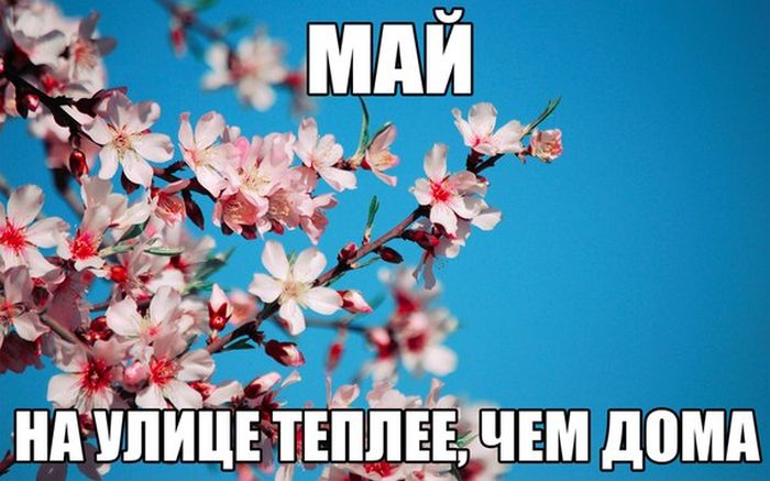 Порция картинок