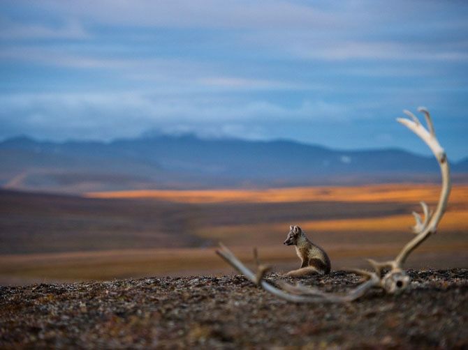 Лучшие фотографии National Geographic за июнь 2013
