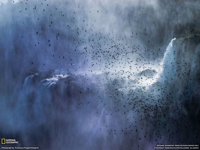 Лучшие фотографии National Geographic за июнь 2013