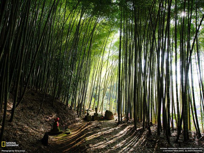 Лучшие фотографии National Geographic за июнь 2013