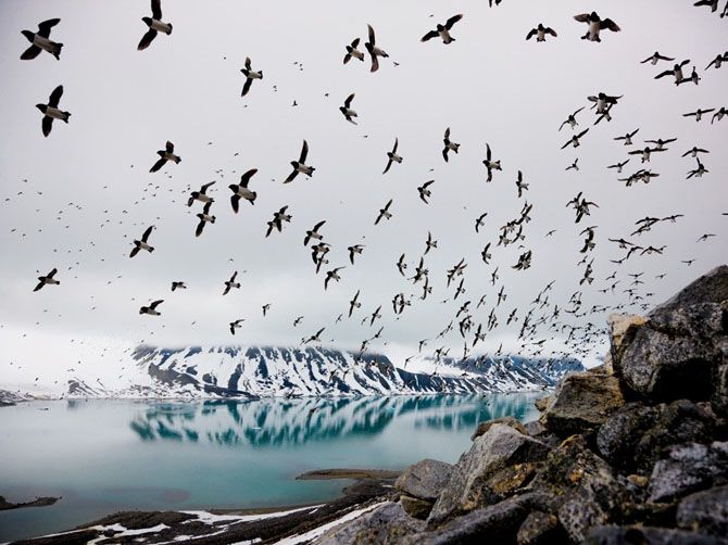 Лучшие фотографии National Geographic за июнь 2013