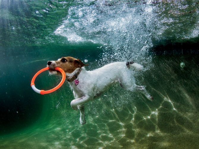 Лучшие фотографии National Geographic за июнь 2013