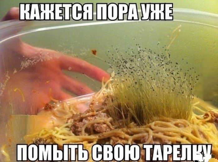 Прикольные картинки