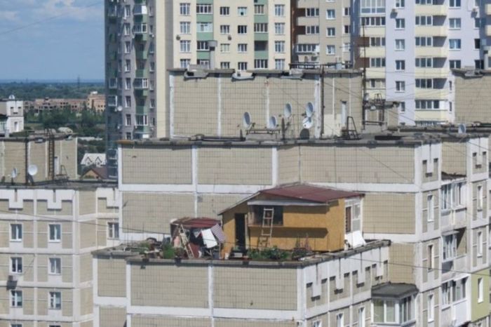 Прикольные картинки
