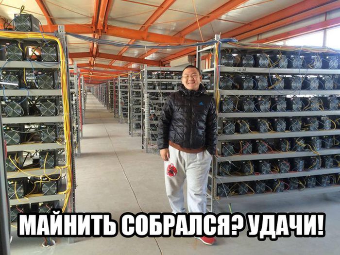 Прикольные картинки