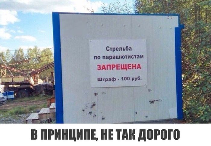 Прикольные картинки