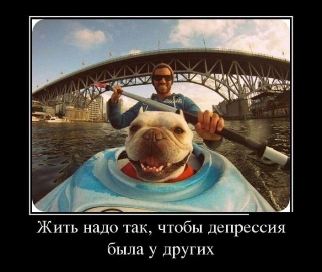 Демотиваторы