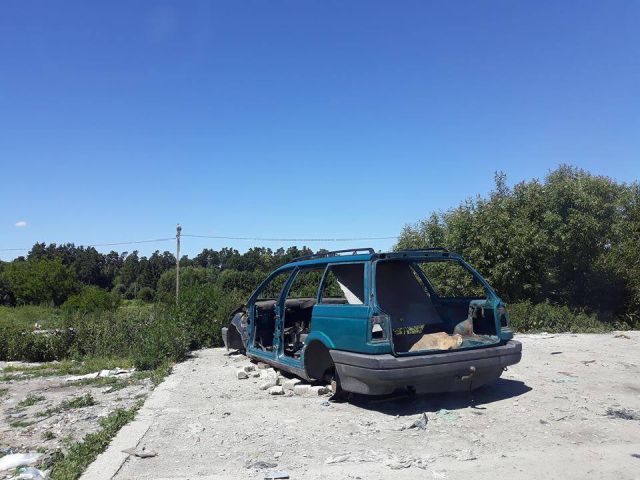 Польское село превратилось в свалку брошенных автомобилей