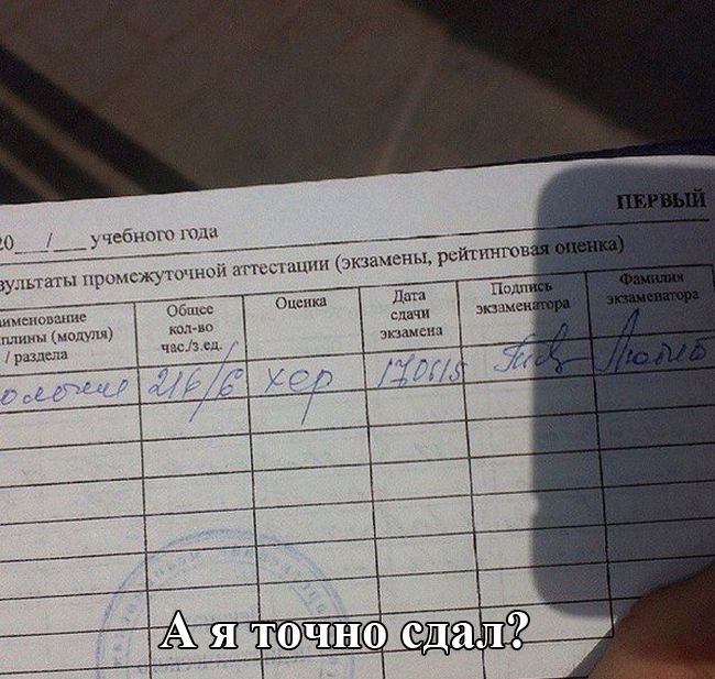 Порция картинок