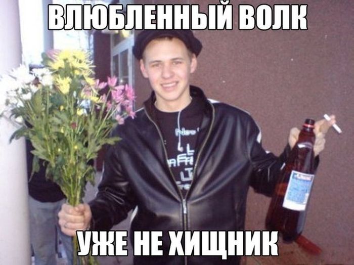 Порция картинок