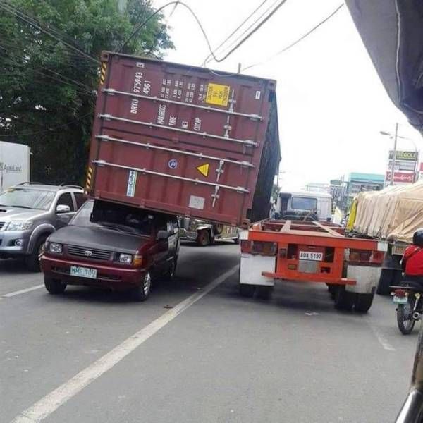 Прикольные картинки