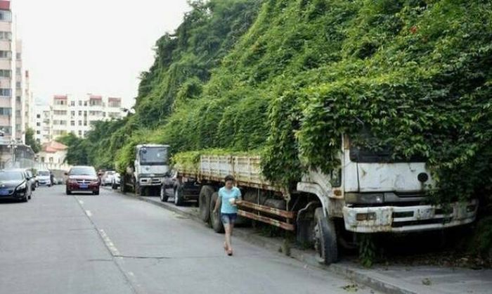 Прикольные картинки