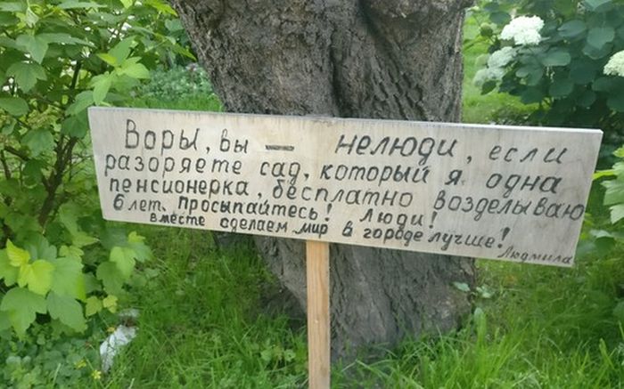 Красота в обычном московском дворе