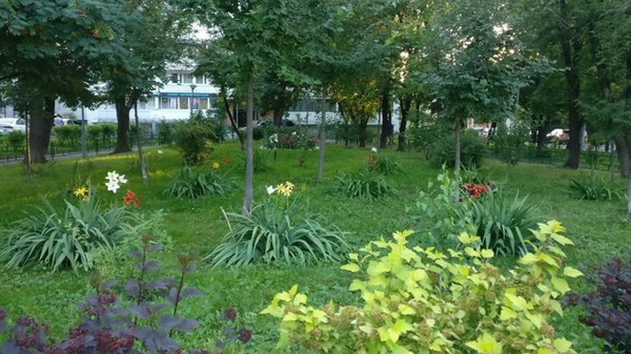 Красота в обычном московском дворе