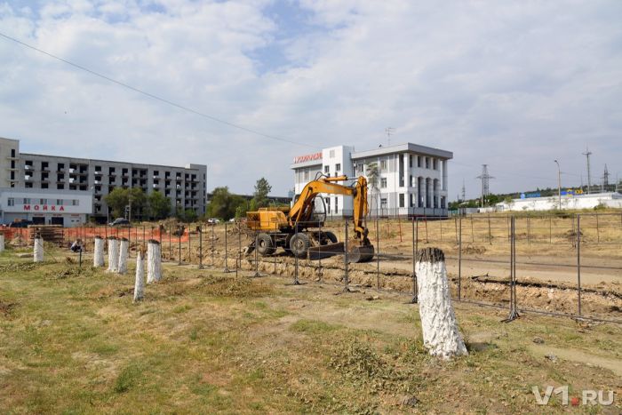 В Волгограде вырубили последние деревья Мемориального парка у Мамаева кургана