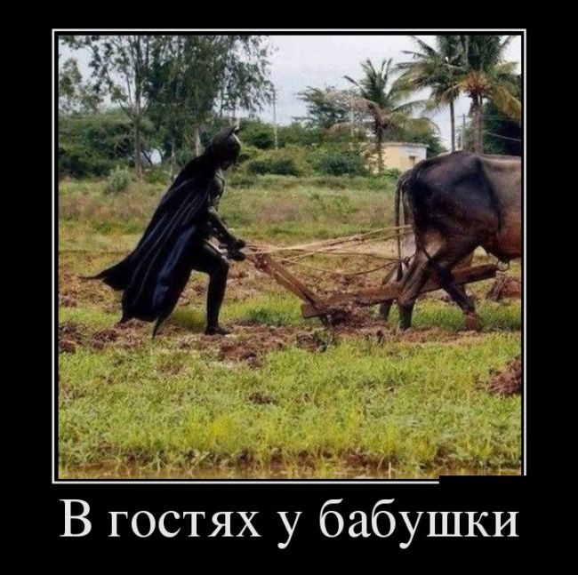 Демотиваторы