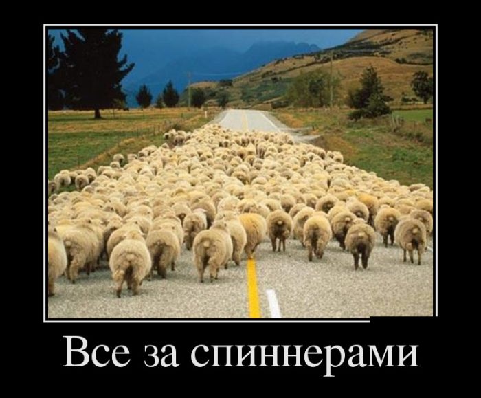 Демотиваторы