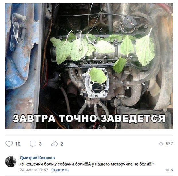 Юмор и комментарии из социальных сетей