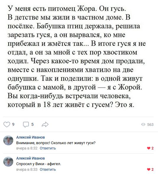 Юмор и комментарии из социальных сетей