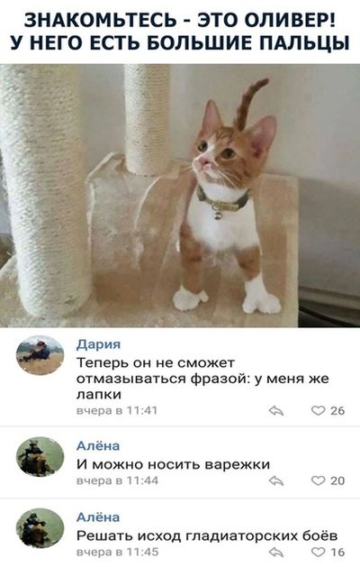 Юмор и комментарии из социальных сетей