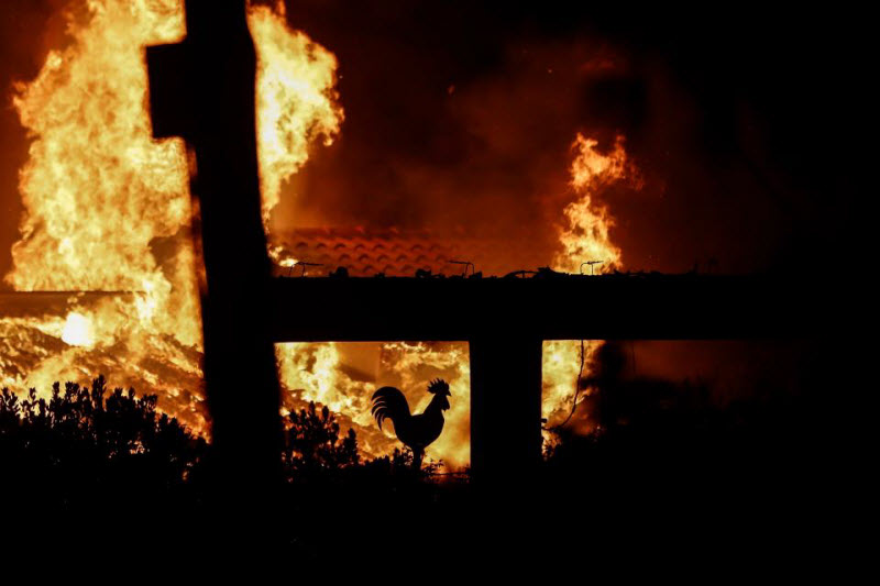 Пожары бушуют в Греции: 74 погибших и 150 раненых