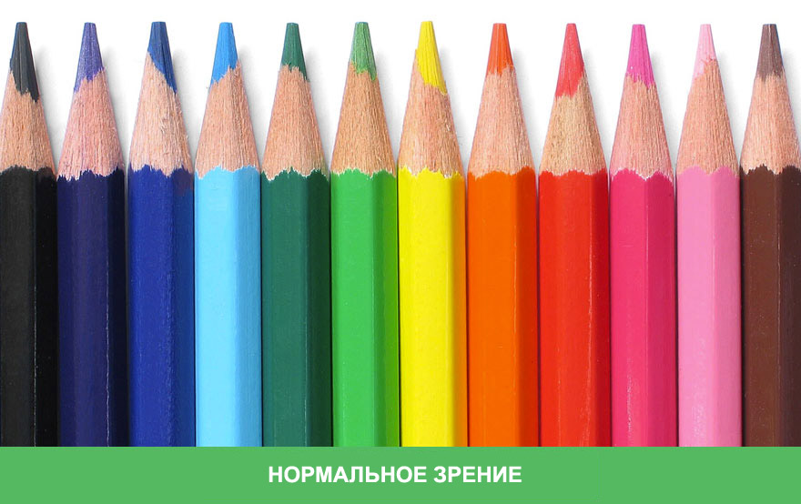 Каким видят мир дальтоники Каким видят мир дальтоники