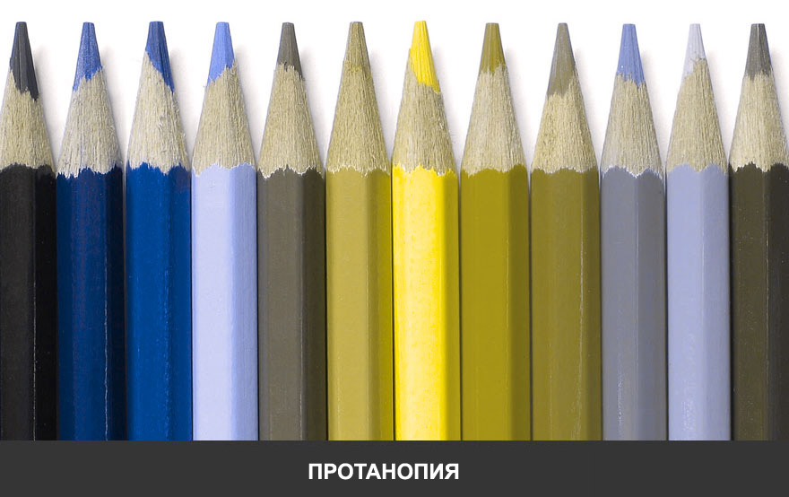 Каким видят мир дальтоники Каким видят мир дальтоники